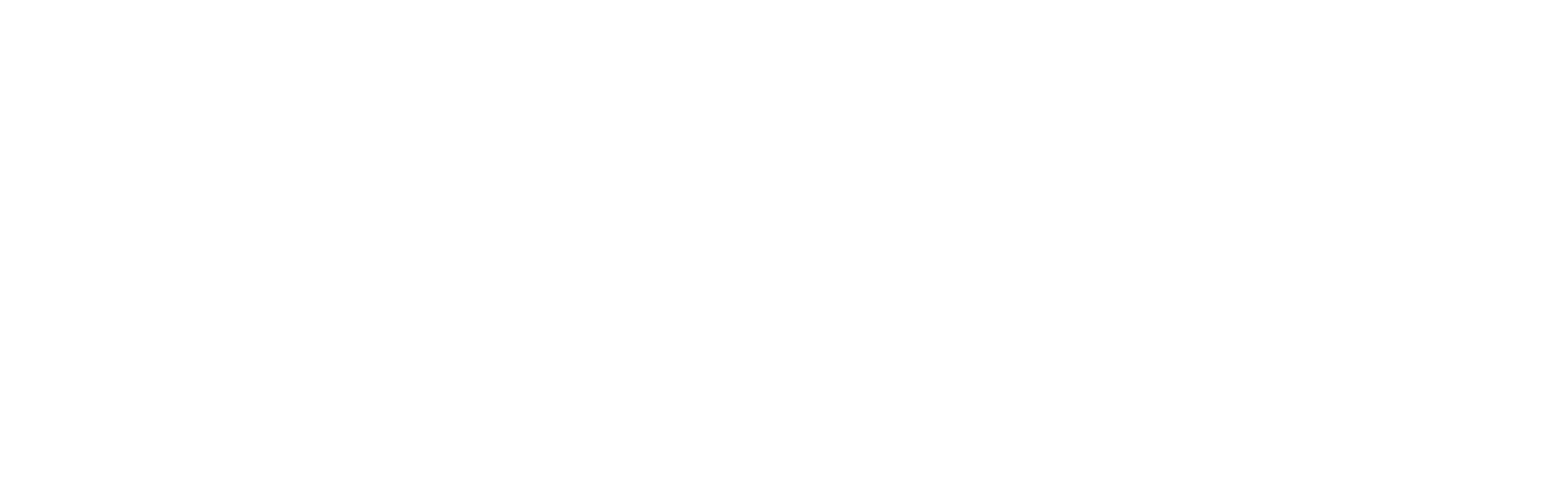 logo1